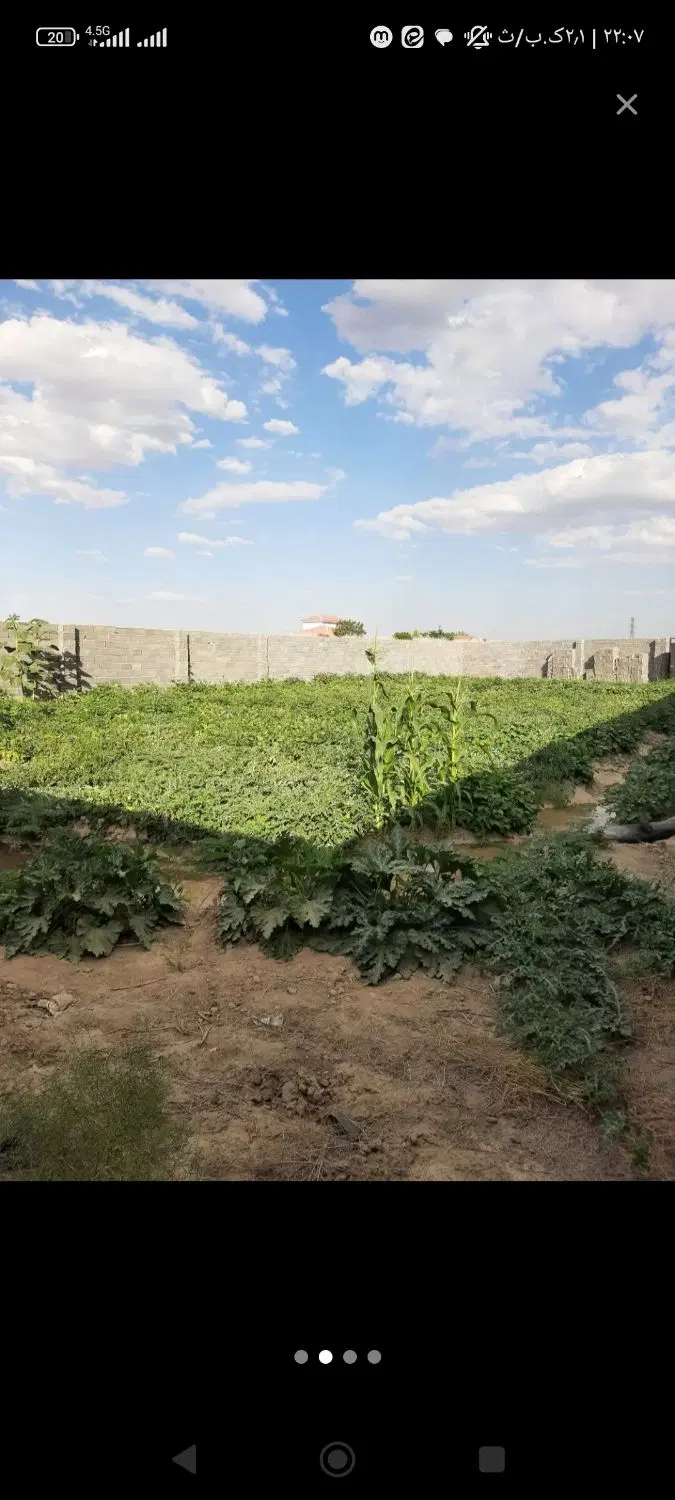 زمین وباغ فروشی ملکی شاهنامه ۱۸ روستای احمدآباد