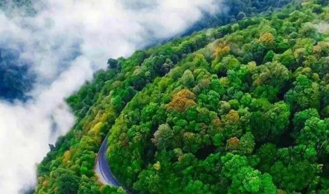 ۳۱۹ متر زمین