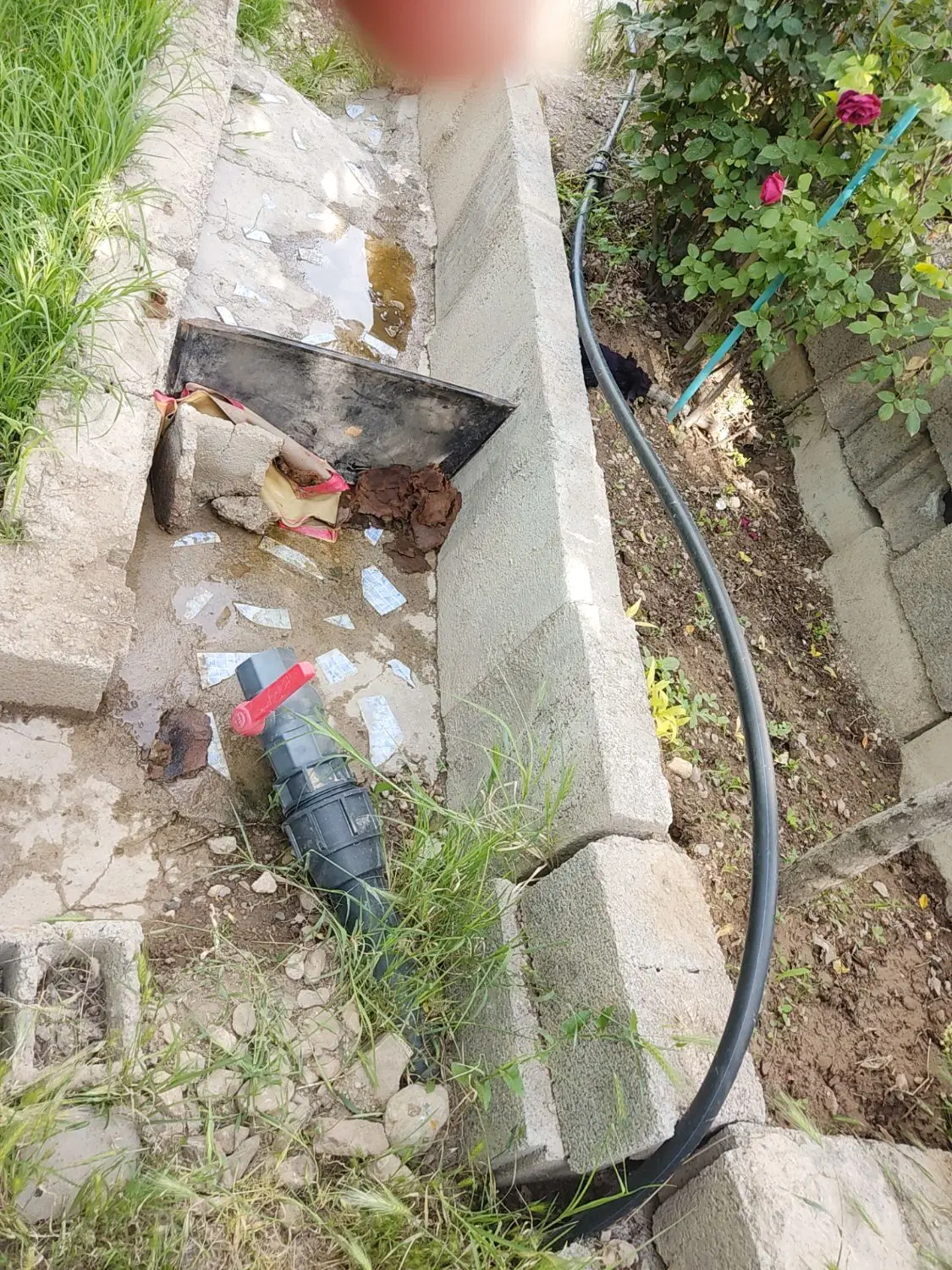 فروش و‌معاوضه باغ در روستای دیزج علیا با اپارتمان