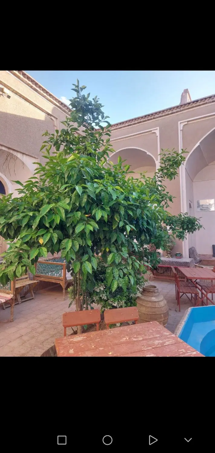 منزل مسکونی ۶ اتاقه ۶۰۰مترزمین بشروییه
