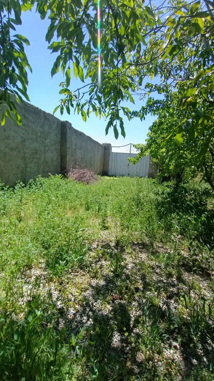 باغچه ۵۰۰متری_کنتور برق_سهمیه اب_عرب اباد