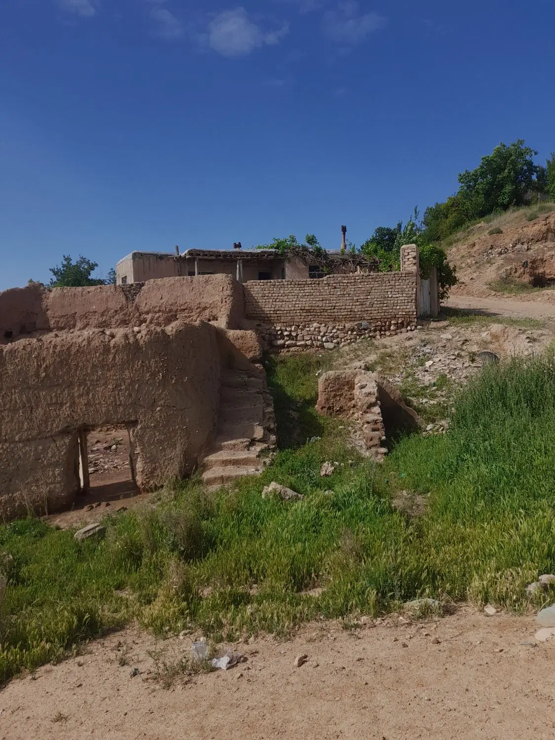 زمین یامچی
