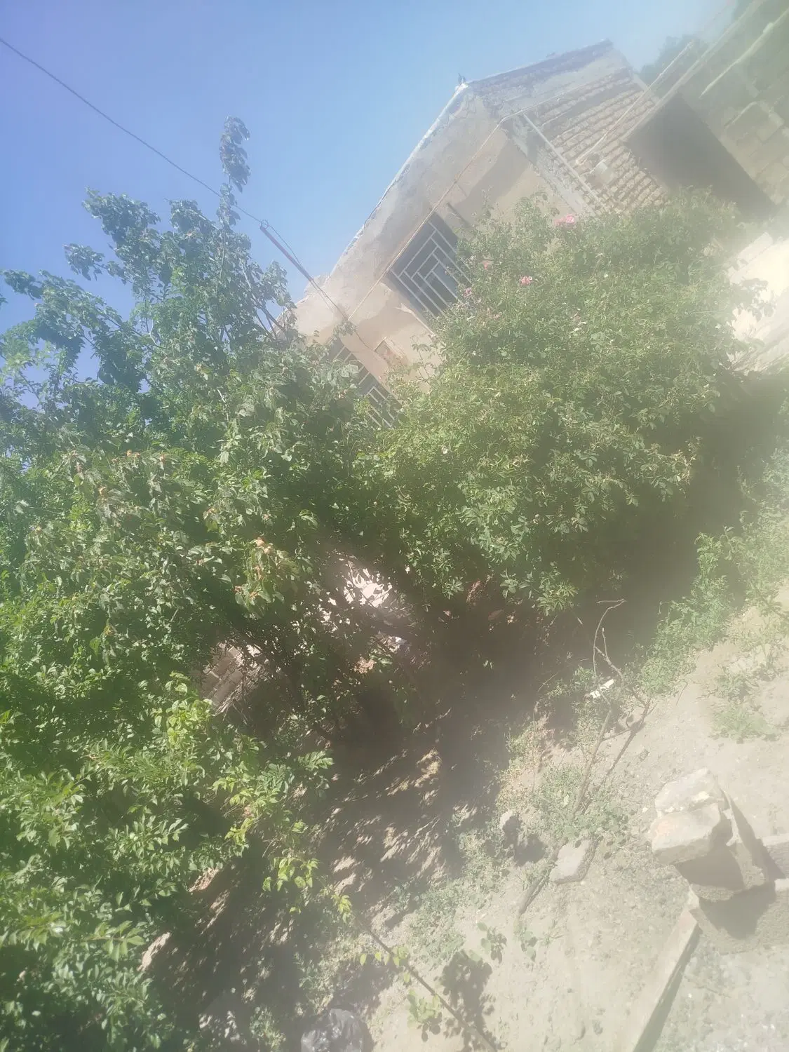 خونه باغ فروشی
