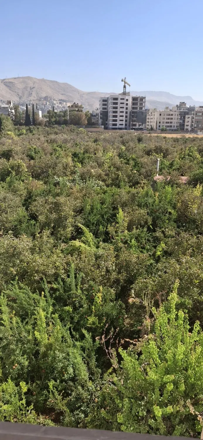 آپارتمان دوخواب پاسداران