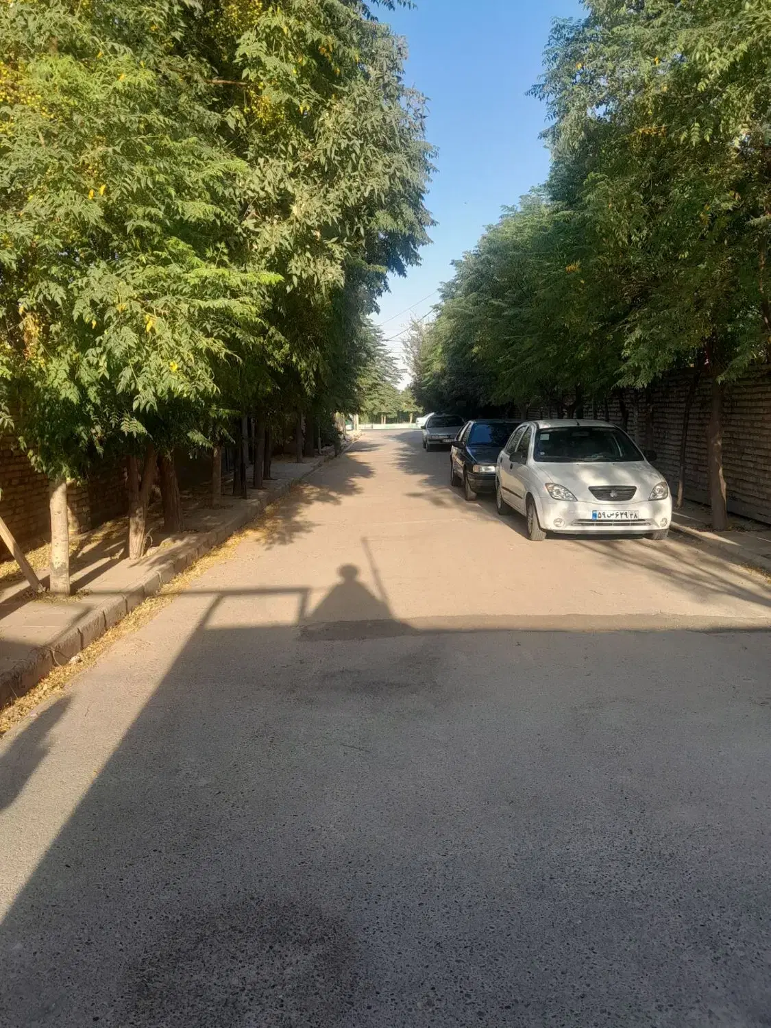 زمین چهار دیواری سند تک برگ