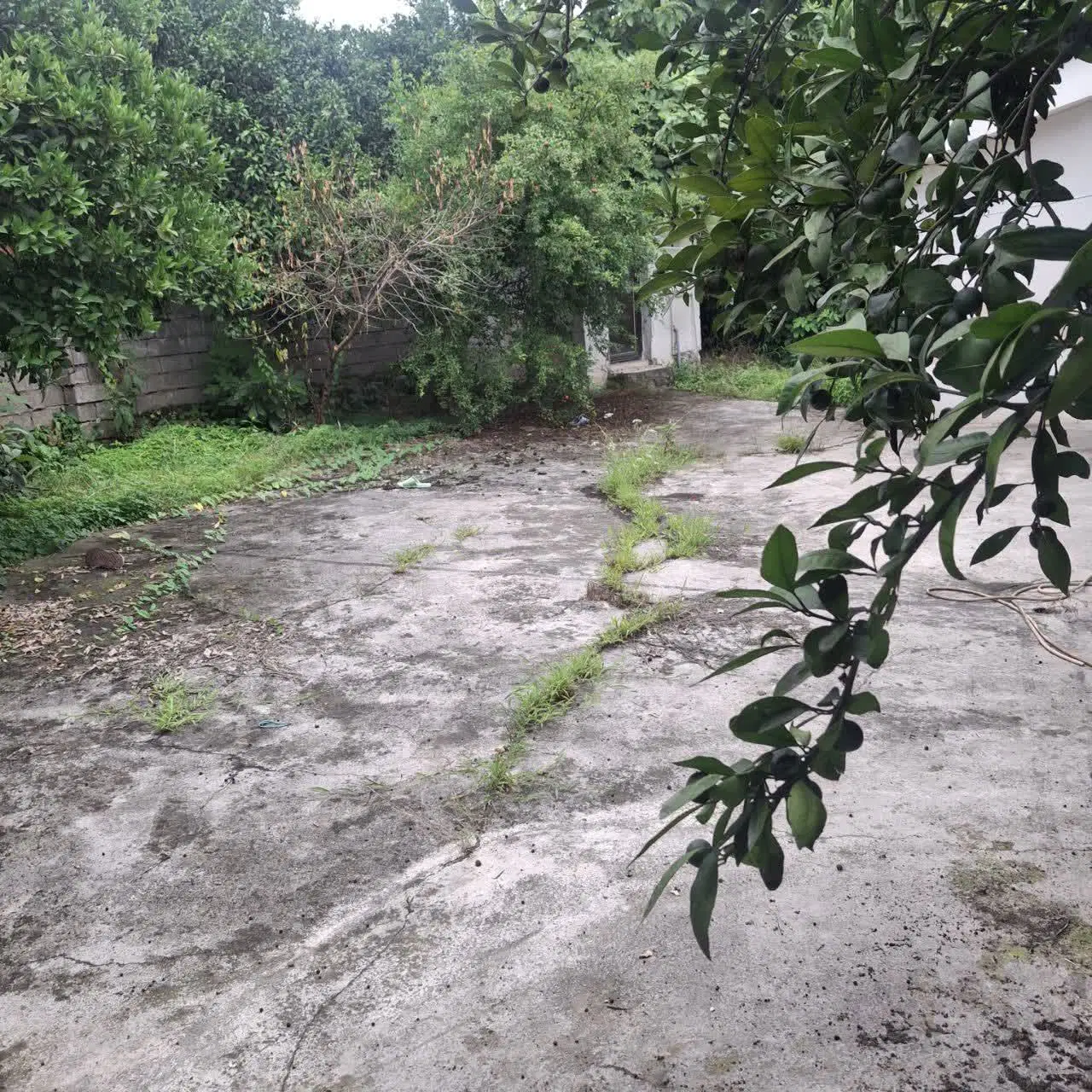 خونه ی حیاط دار
