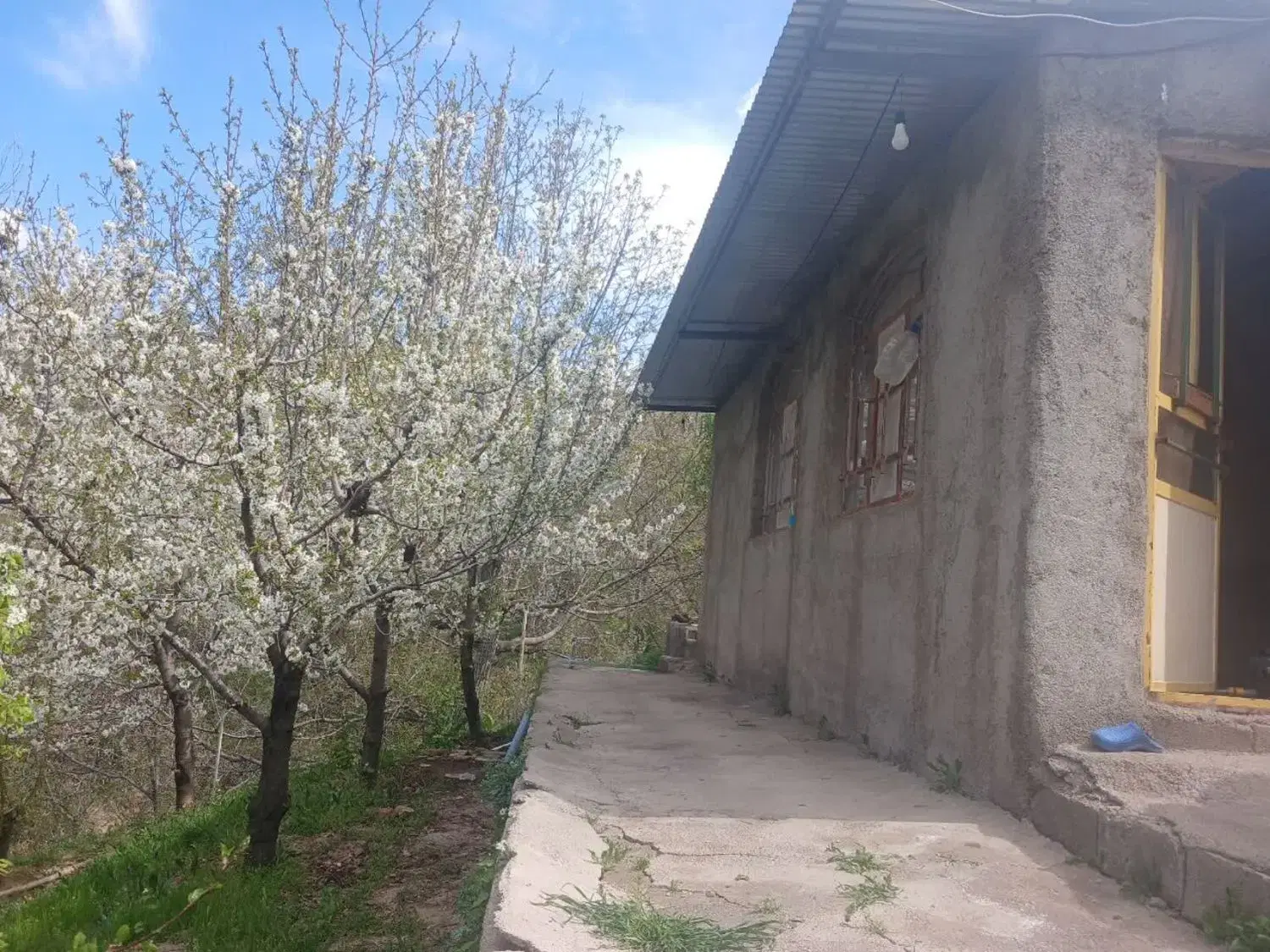 خونه باغ پایین طالقان