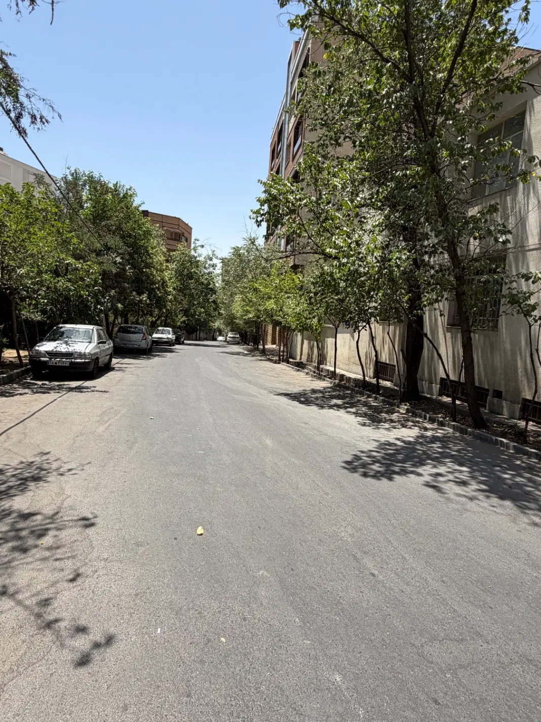 تک واحدی ۸۸ متری ۲ خواب