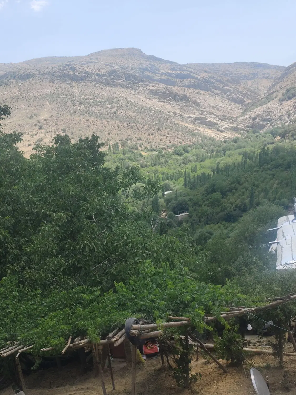 زمین باغ شهری کودیان