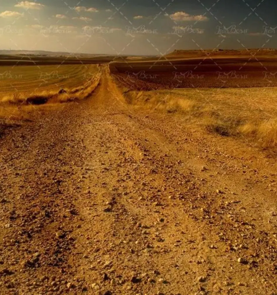 زمین فروشی بلوار امام رضا