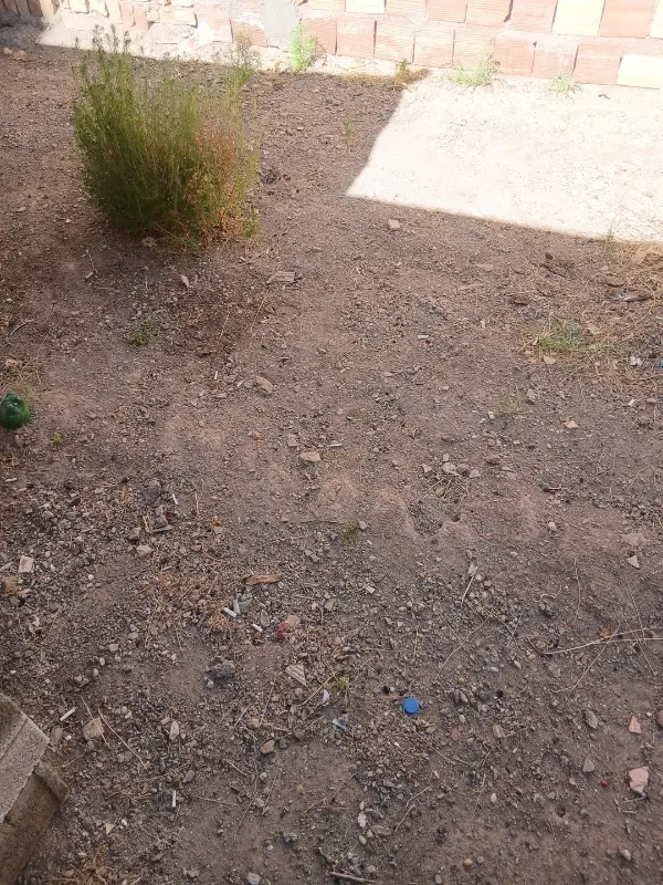 زمین مزروعی زیر دانشگاه پیام نور