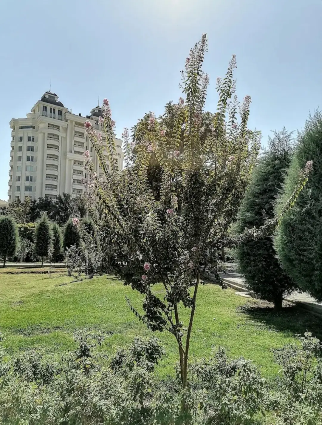 ۲۲۰ متر داخل برج جهانشهر ۳ بالکن قابل چیدمان فول