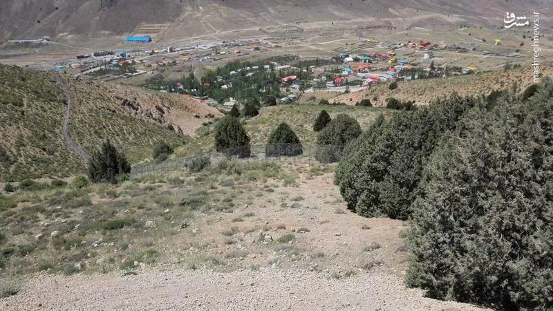 زمین