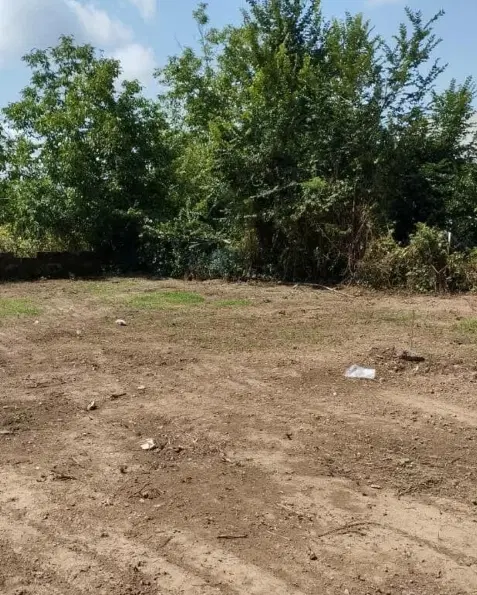زمین کشاورزی کهن شهر