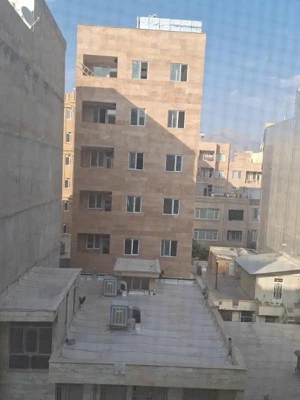 هم خونه خانم