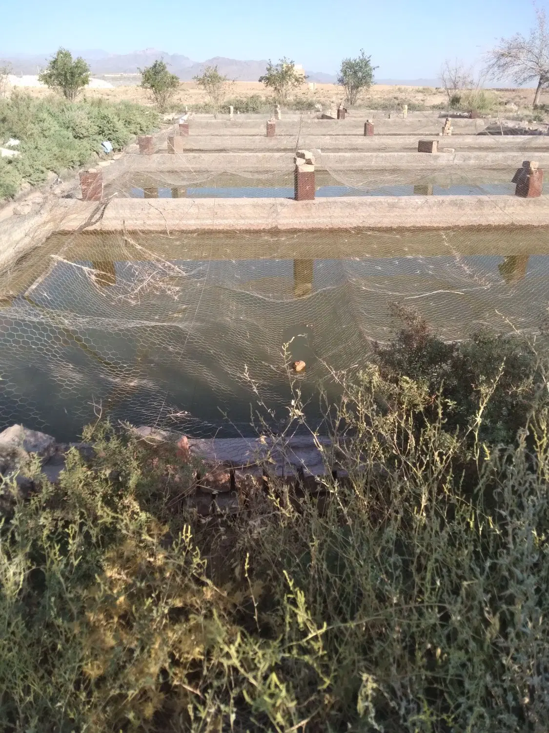 زمین کشاورزی