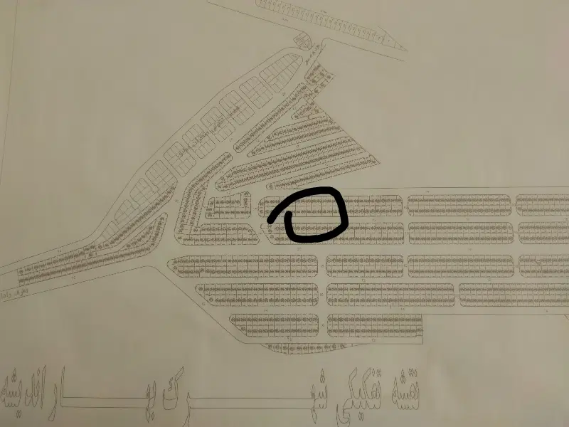 زمین بهار اندیشه سهم سند برگ