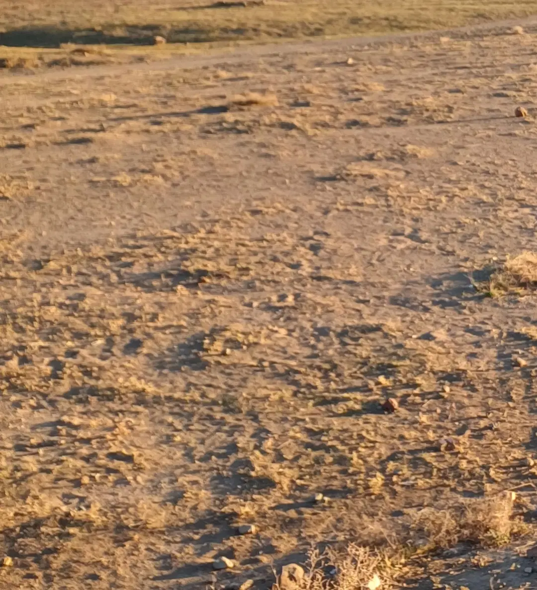 هنرستان