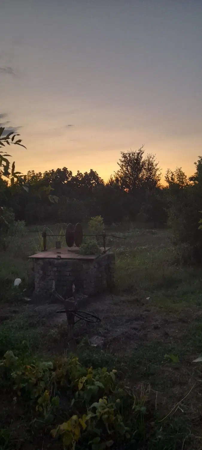 فروش زمین ۲۵۰‌متری در روستای وسطی کلا قائمشهر