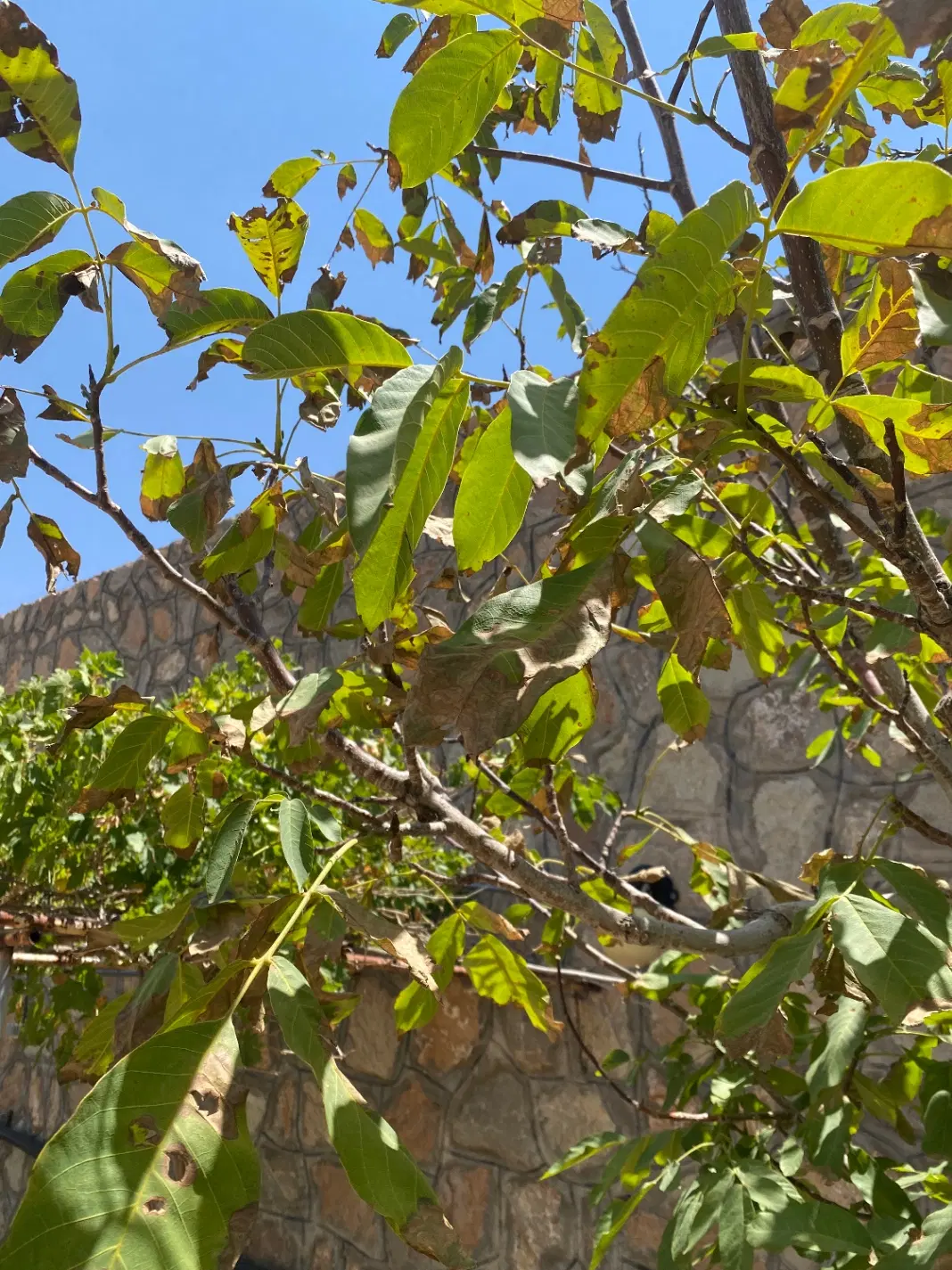 زمین دردشت مهدیشهر