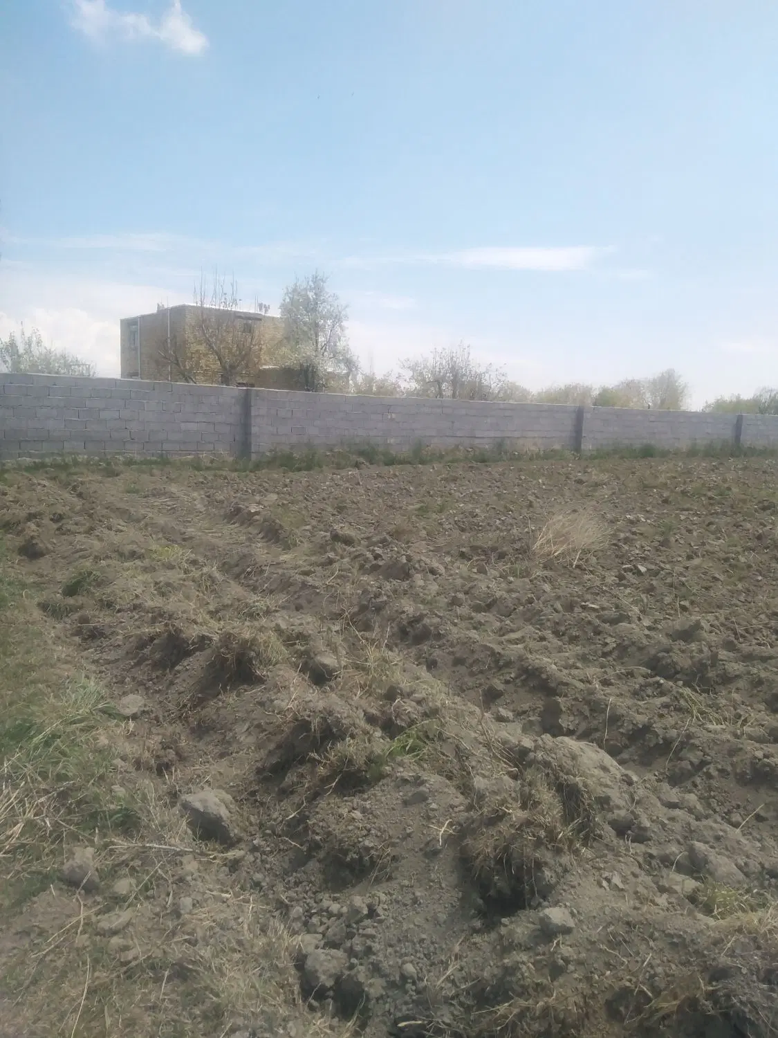 زمین کشاورزی اباجالو سفلی