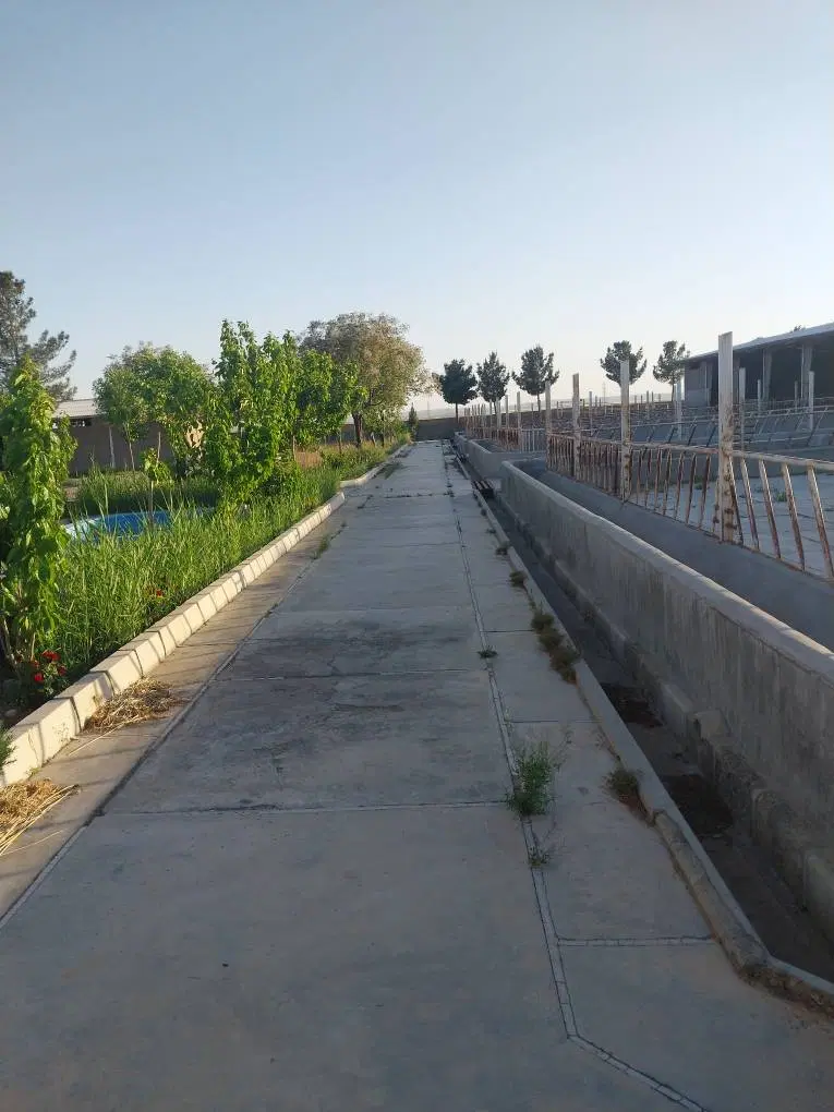 زمین گاوداری در ورامین