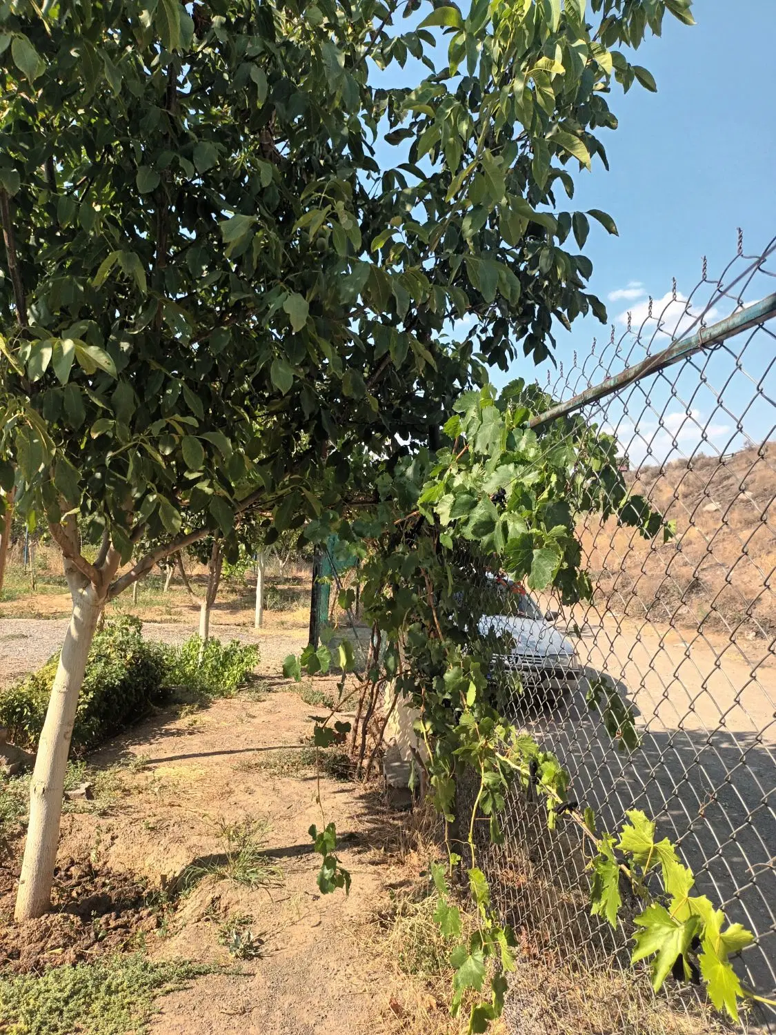 فروش باغ ویلایی