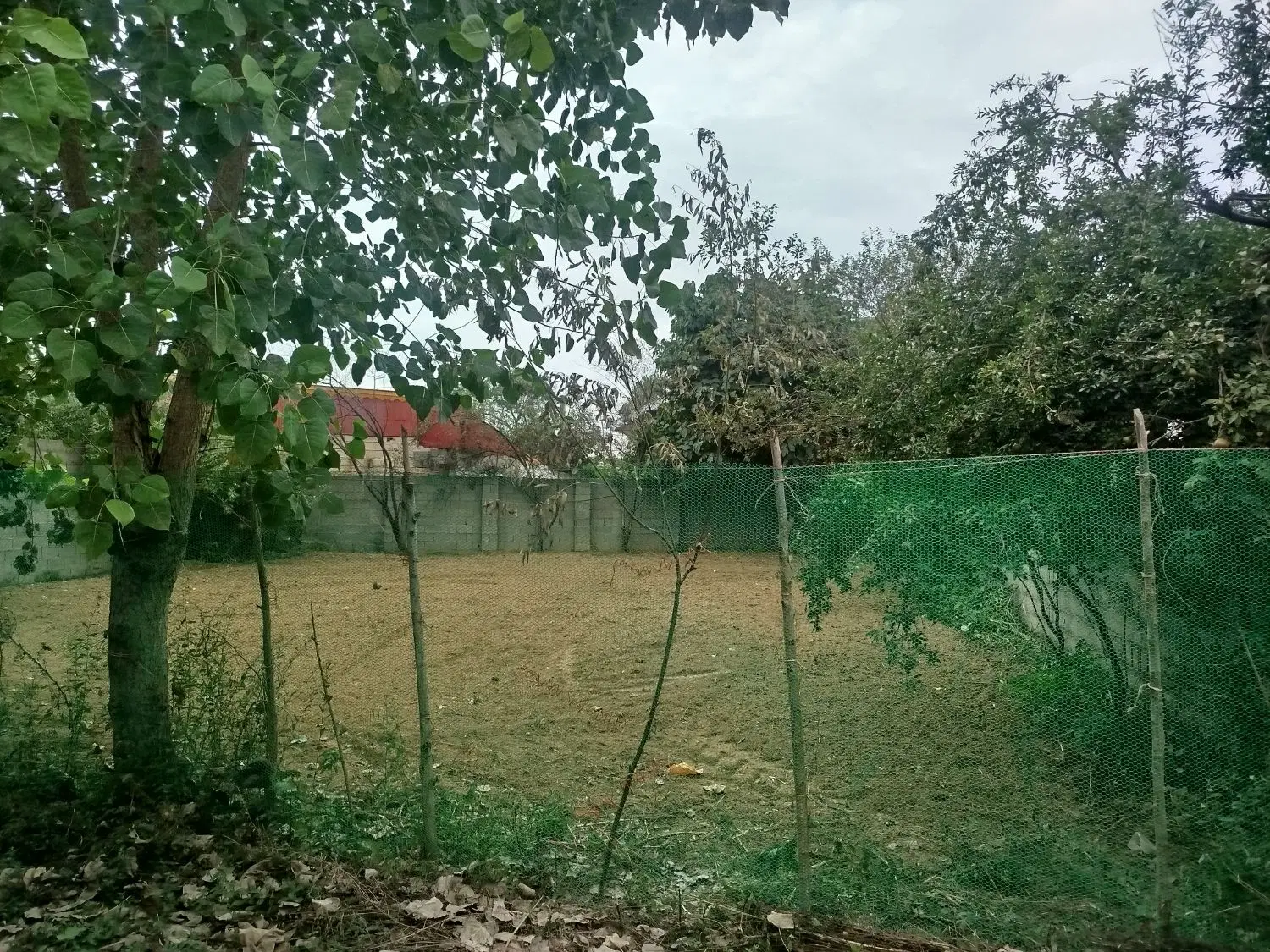 زمین داخل شهر مالک هستم