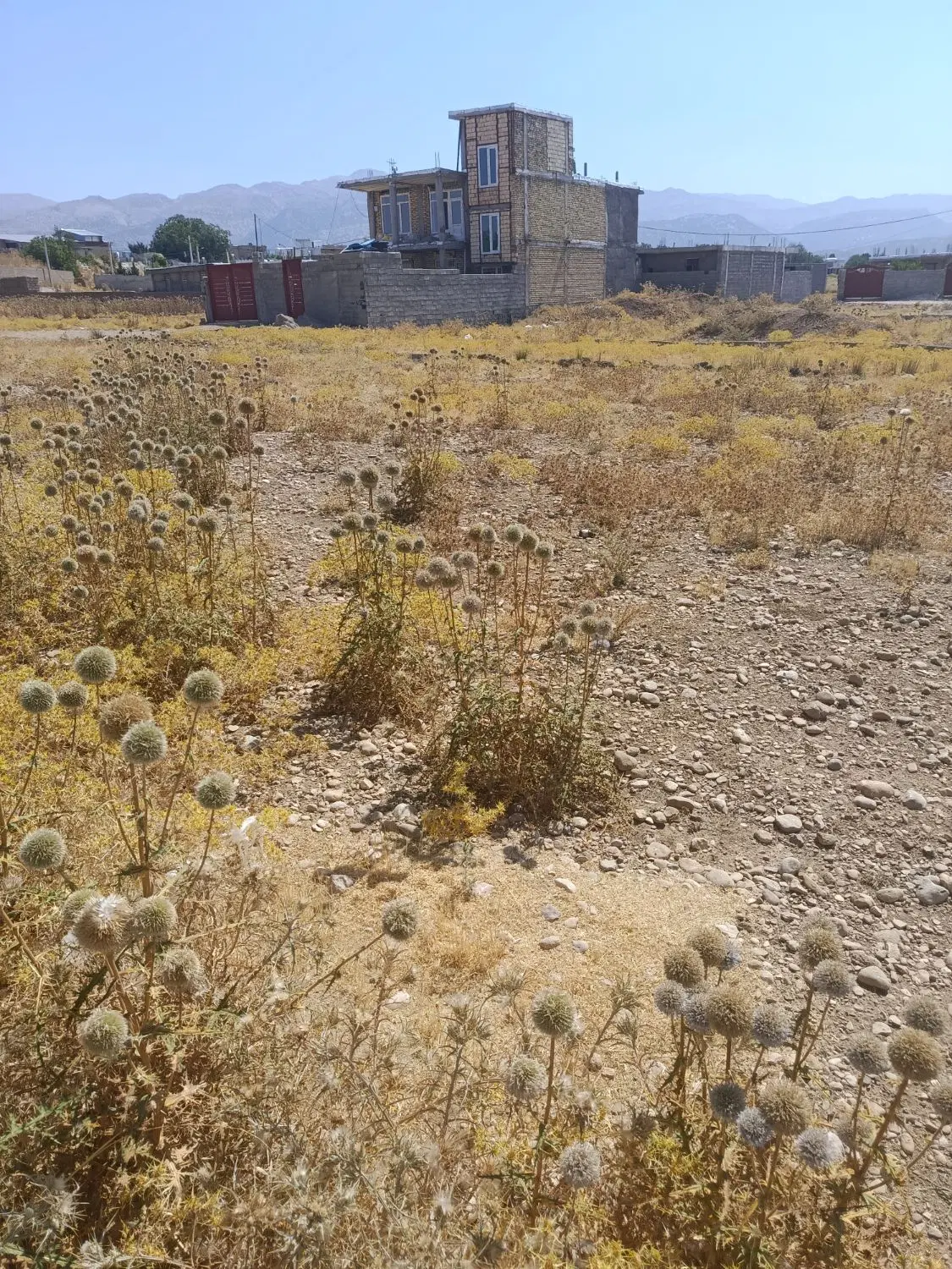 زمین کرد لاغری