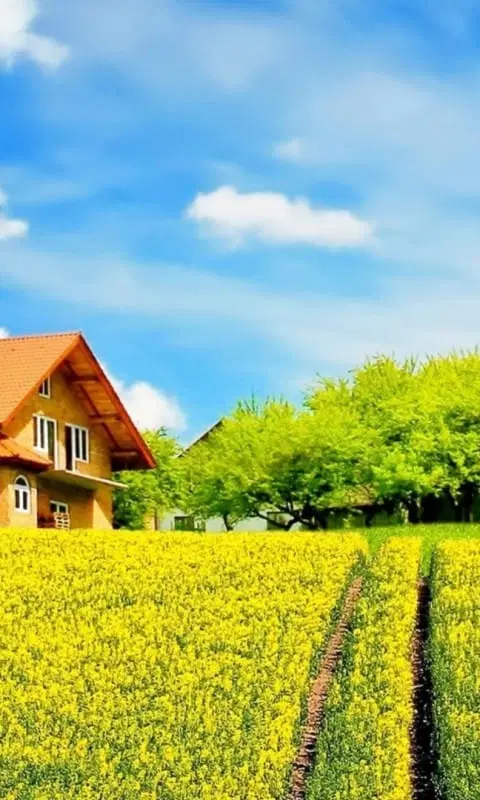 زمین لوکیشن خوب سه راه فردوسی