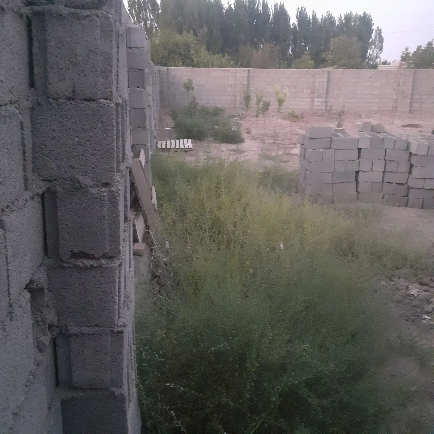 زمین مسکونی چهار دیواری در روستای پکاجیک دو نبش