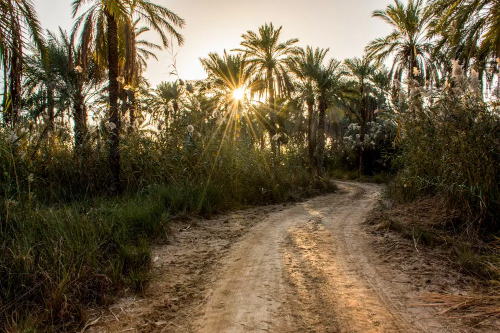 زمین‌