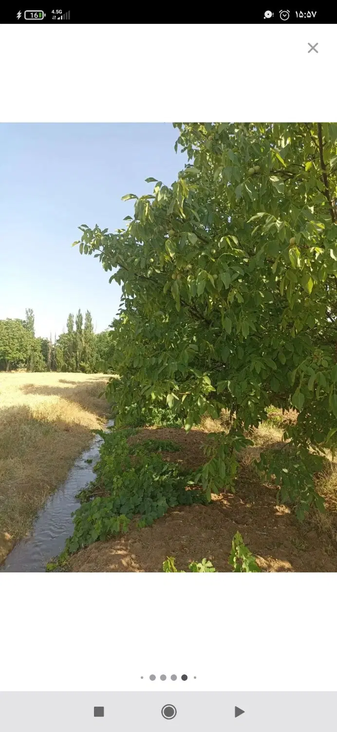 کهناب.زمین ۱۵۰۰ متر مناسب باغ
