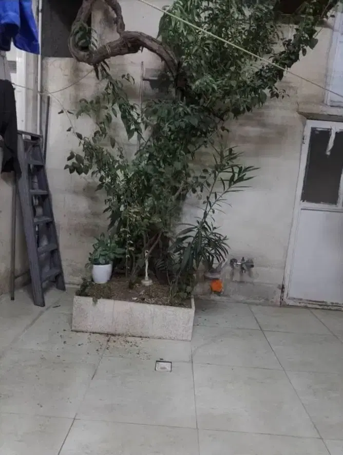 خونه حیاطی ۷۸