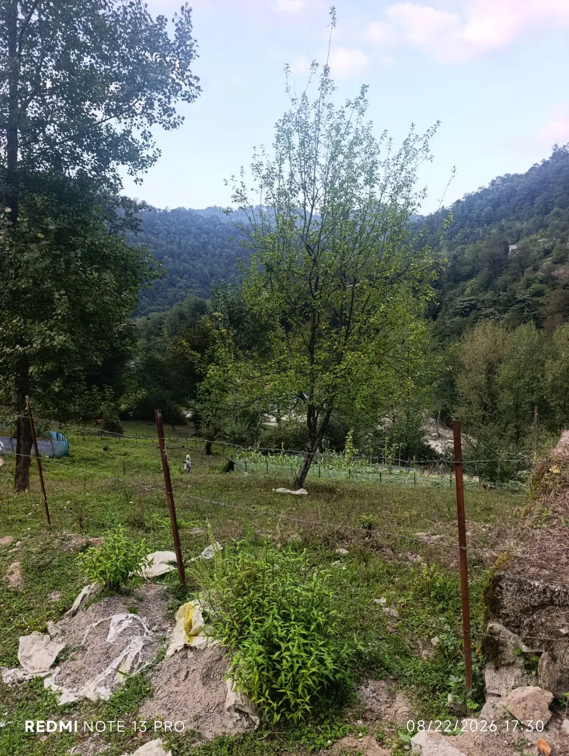 فروش زمین ویلایی روستای دمیراوغلی کش