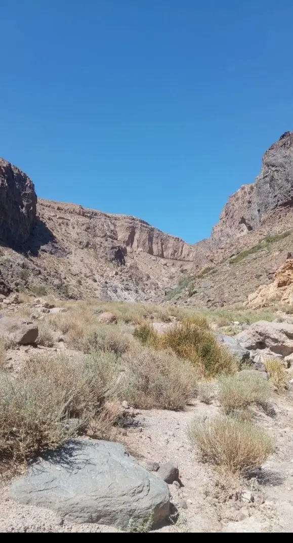 زمین سیادک