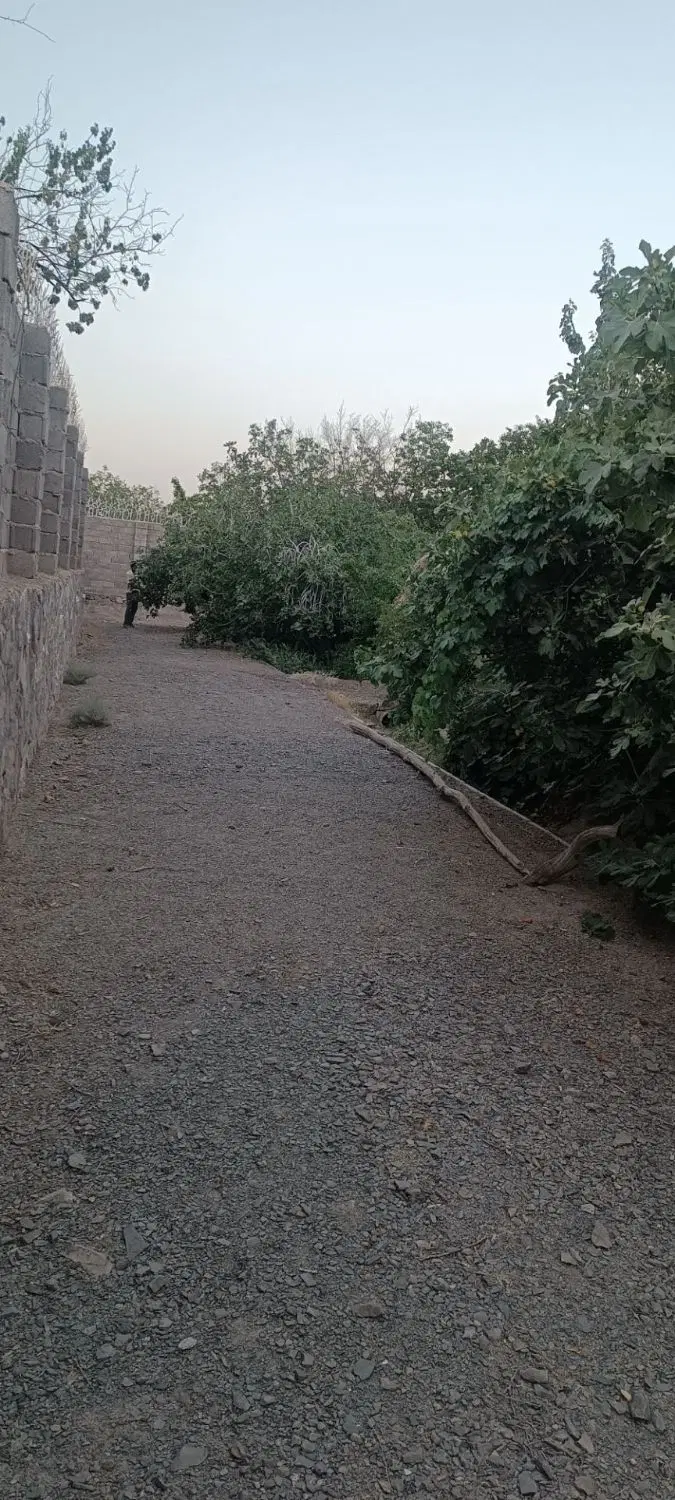 ملک تجاری و مسکونی