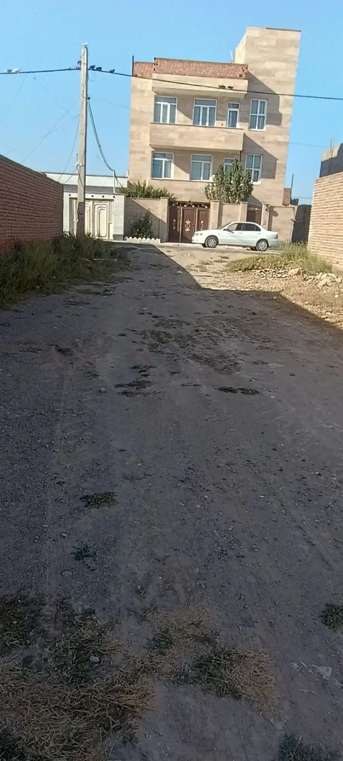۲۸۰متر سند تک برگ سبز