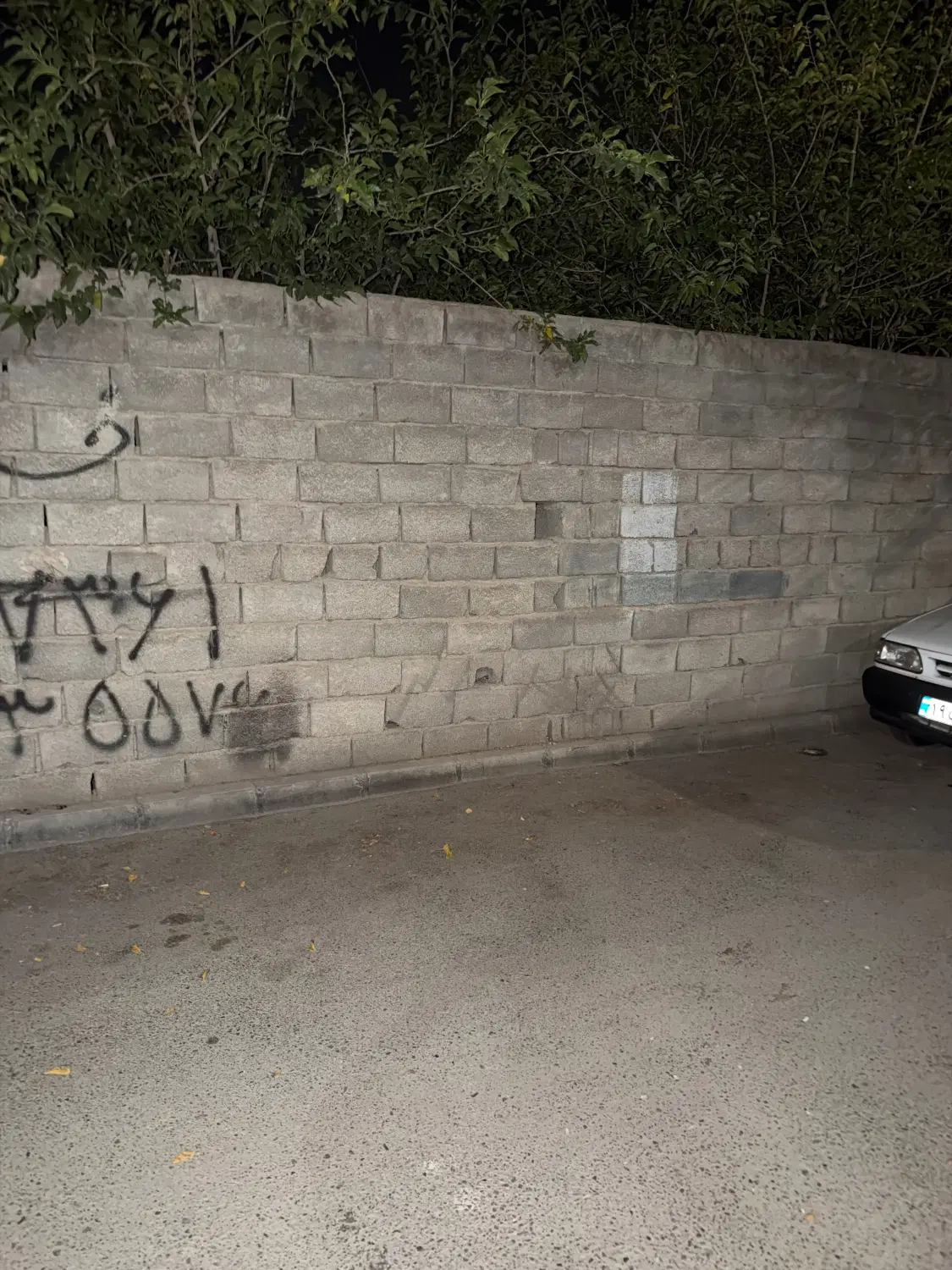 زمین کوچه ستاره شعبان اباد شرقی ۱۲۰ متری