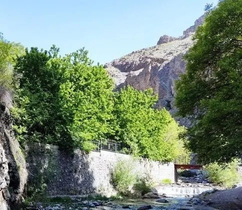 فروش باغ قدیمی
