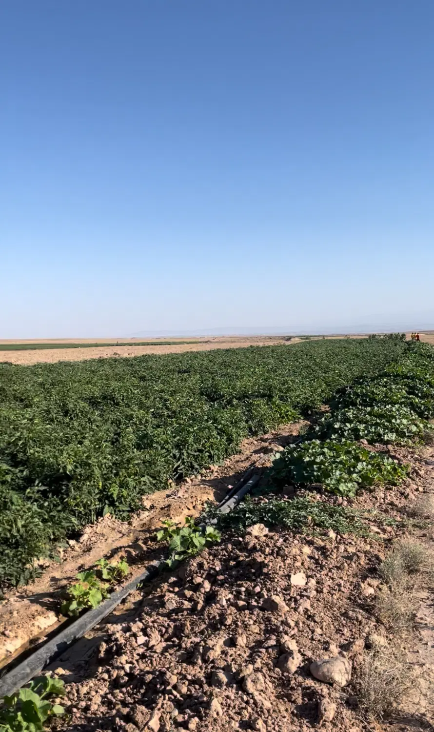 اجاره چاه اب به همراه زمین