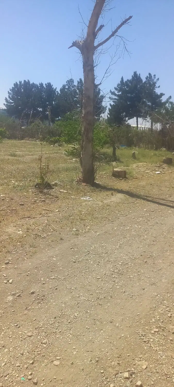زمین زراعی