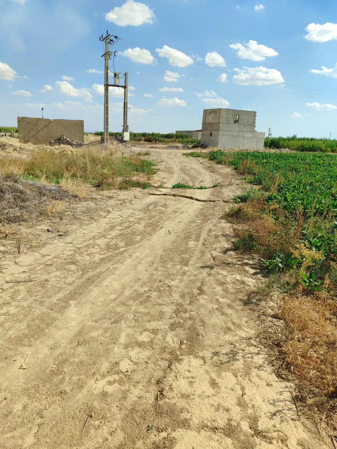 اجاره اب وزمین کشاورزی