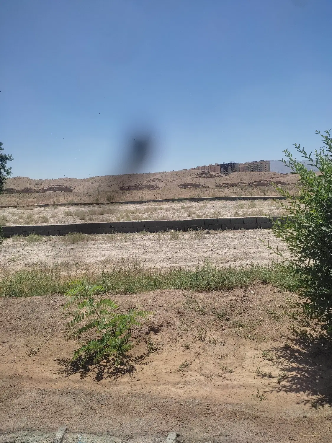 ۲۰۰سهم زمین کارگشا