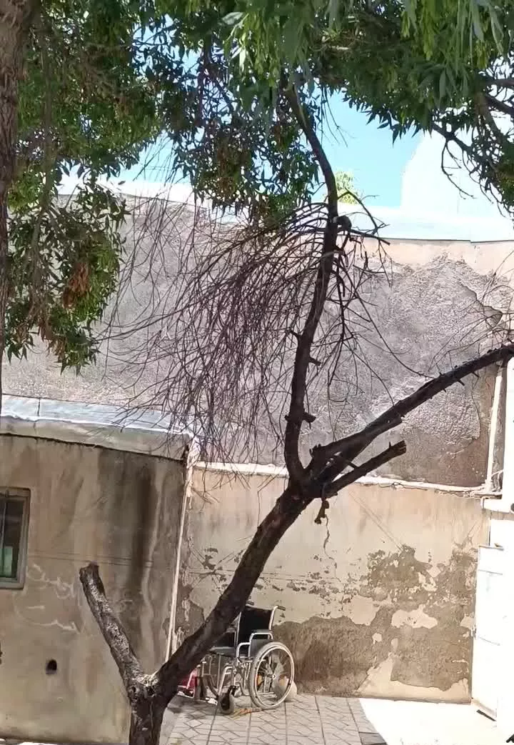 ویلایی مرکز شهر