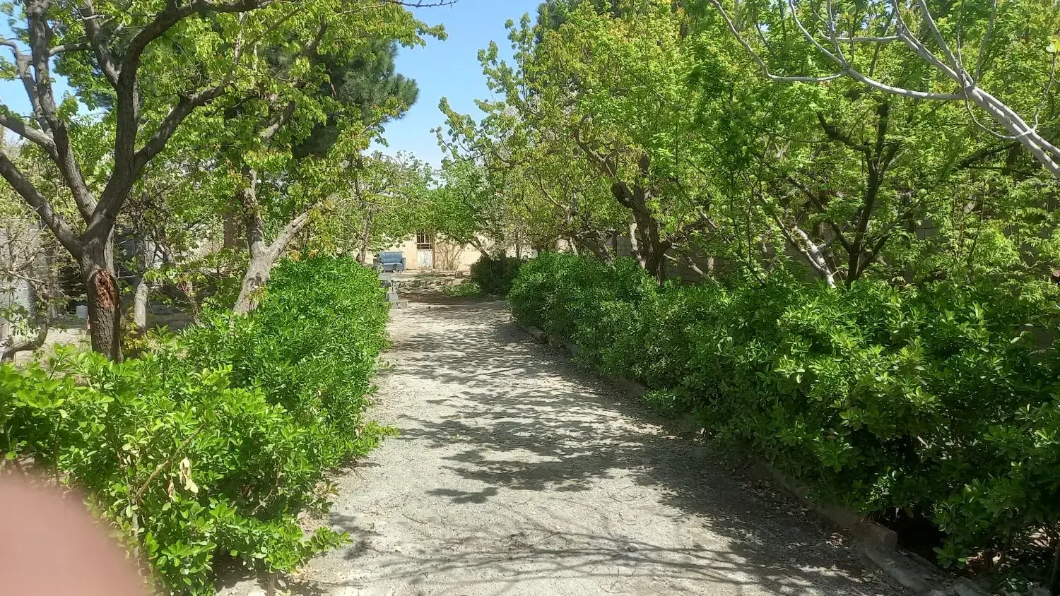 باغ ویلا
