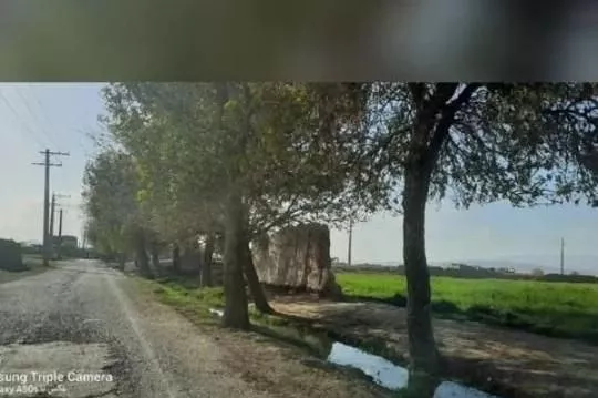 باغ سه ساله ۵کیلومتری ساوه.روستای دالستان