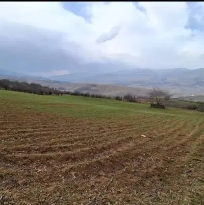 زمین شیرکوه