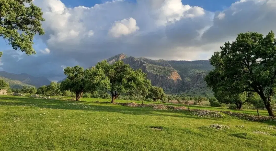 فروش زمین جهت باغ شهری