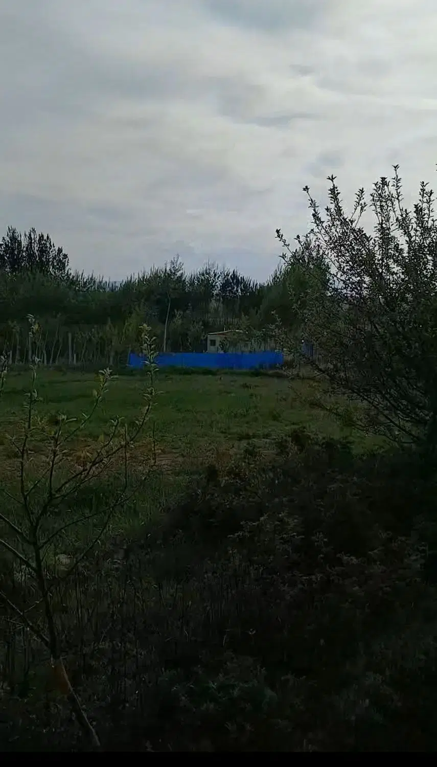 باغ بر جاده با آب و برق در ورزقان